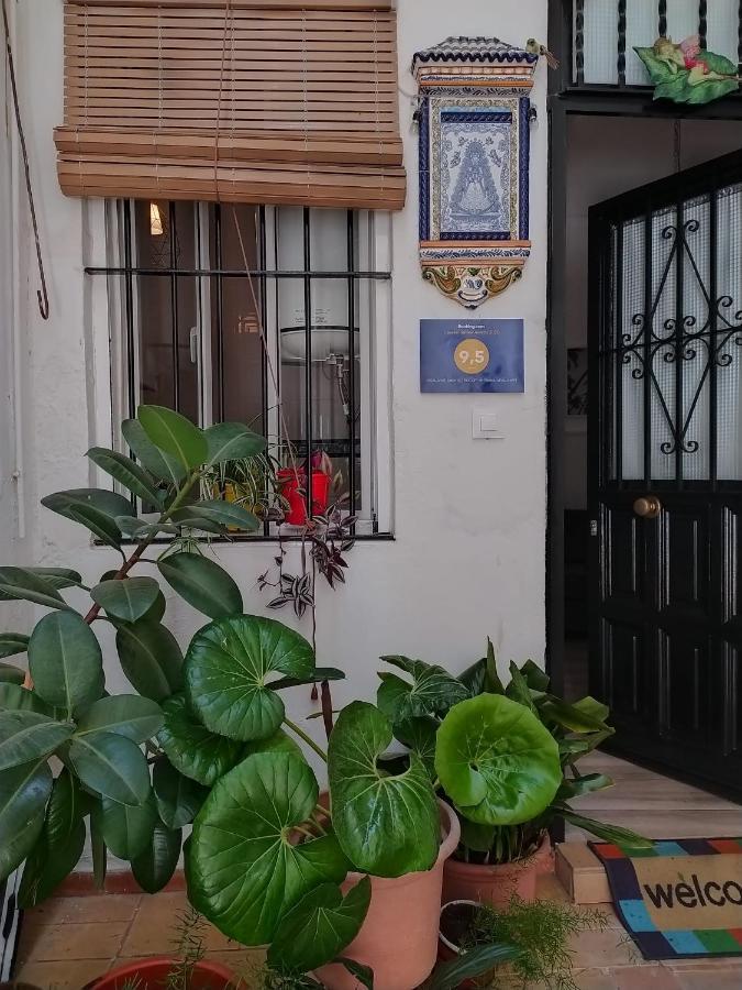 Ideal Apartamento Tipo Loft en Triana Sevilla Wifi Exterior foto